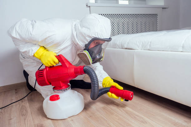 Best Mosquito Control Services  in Isle Of Hope, GA