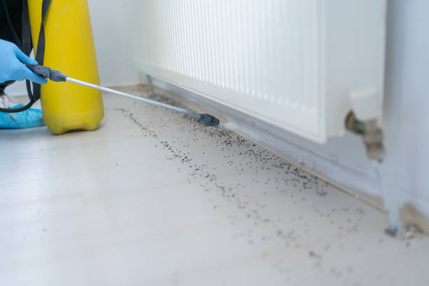 Pest Control Cost in Isle Of Hope, GA