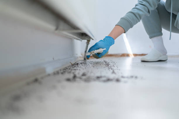 Best Cockroach Control Services  in Isle Of Hope, GA